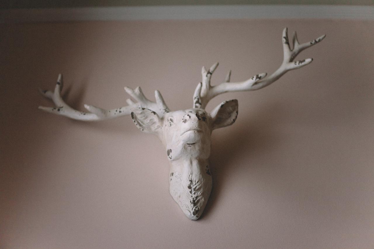 The Stag At Stow Hotel Exterior photo